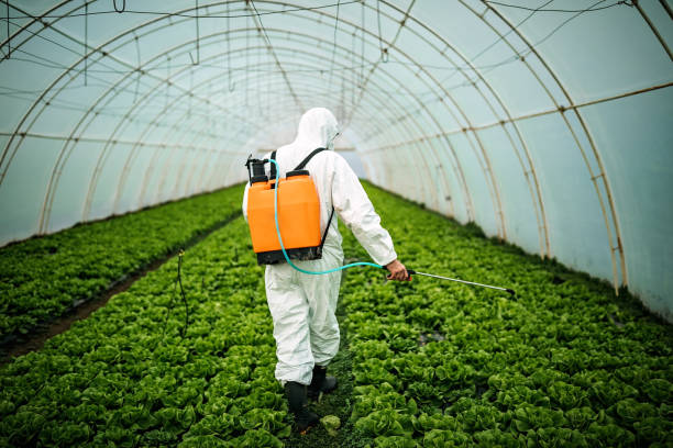 Best Pest Control Near Me  in Weiser, ID