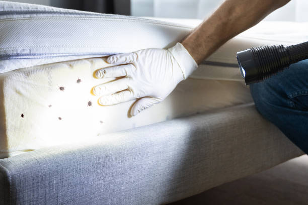 Flea Control Services in Weiser, ID