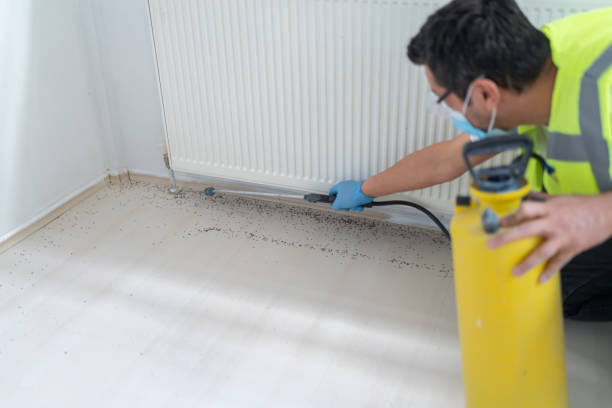 Best Bed Bug Extermination  in Weiser, ID