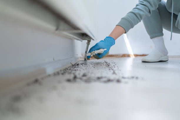 Best Affordable Pest Control Services  in Weiser, ID