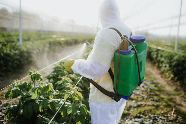 Best Affordable Exterminators  in Weiser, ID